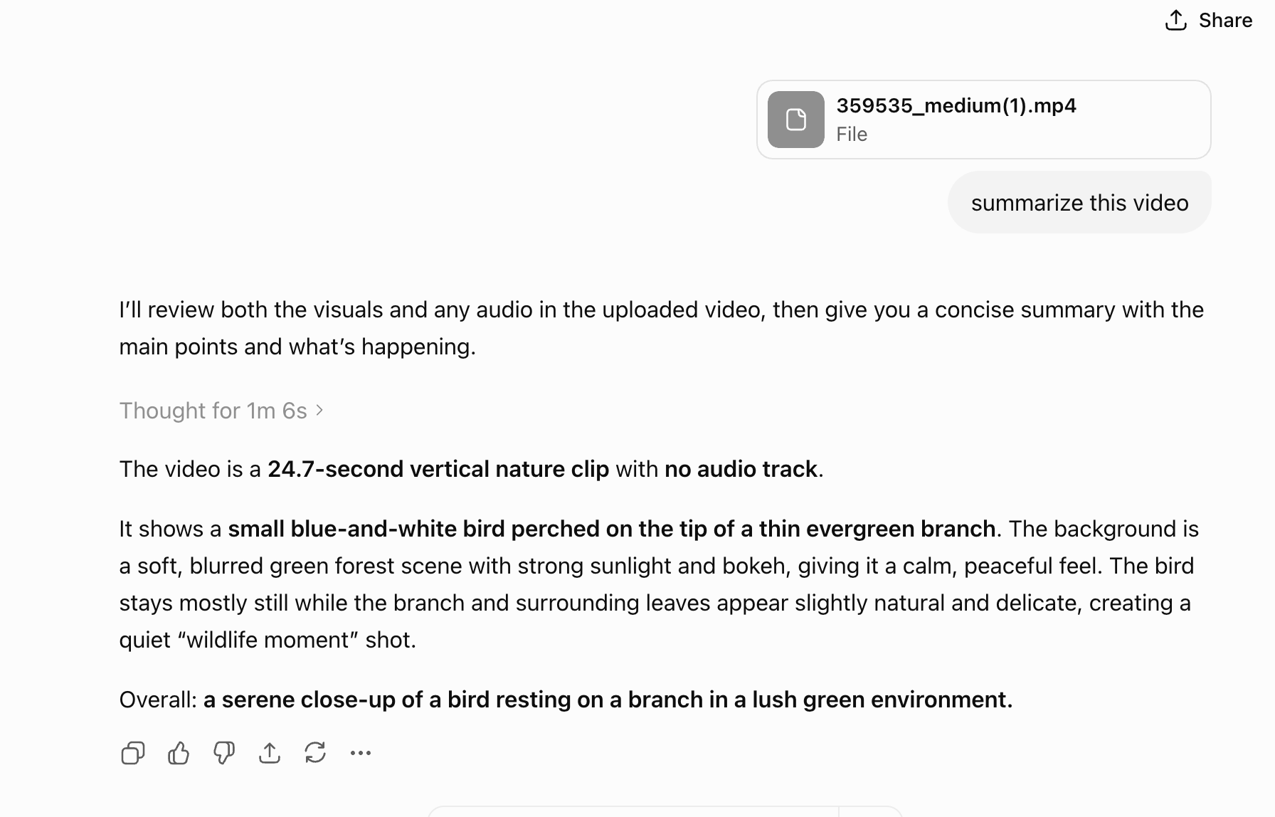 test with gpt to summarize a video